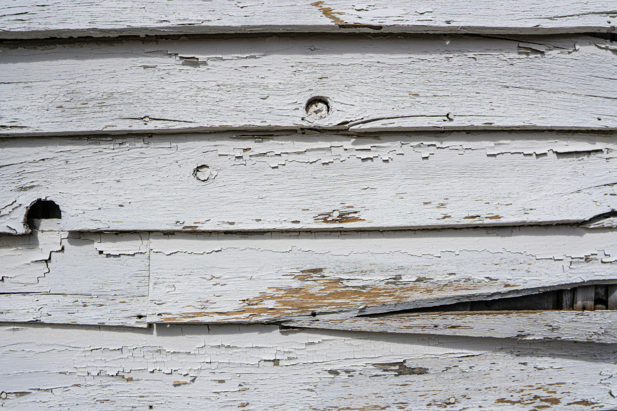 Painting Siding vs Replacing: Which Approach Makes More Sense?