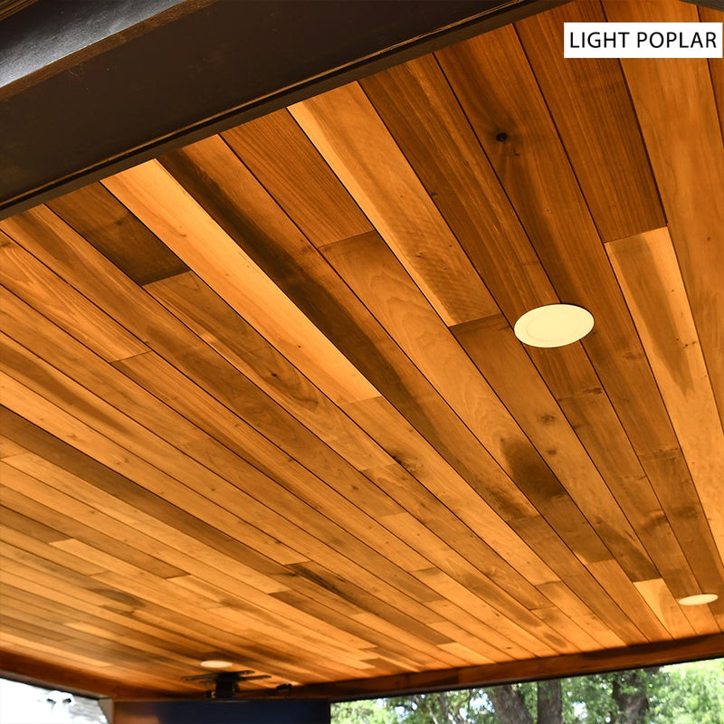 Modern Exterior Wood Cladding (15 SF)